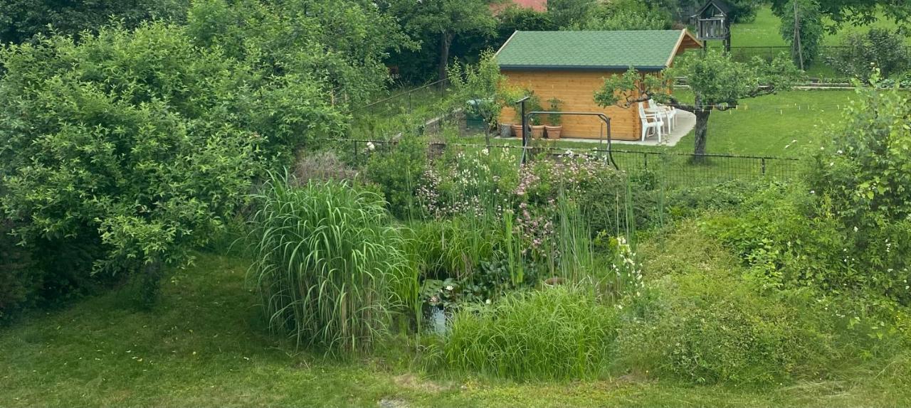 Big Apartment With Garden Klagenfurt am Woerthersee Zewnętrze zdjęcie